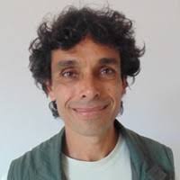 Wetland bird guilds respond to hurricanes