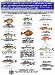 Freshwater Fish Maine Division Newsletter Fisheries