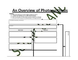 Biology Bundle Photosynthesis And Cellular Respiration Flow Charts