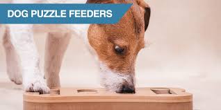 Discover all the best dog puzzle toys, from puzzle bowls and treat toys to balls and interactive puzzle dog toys. Best Dog Puzzle Feeders For Feeding A Bored Pup 2021