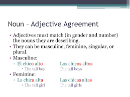 In spanish adjectives come both before and after nouns and they have different connotations depending on that. Noun Adjective Agreement Ppt Video Online Download