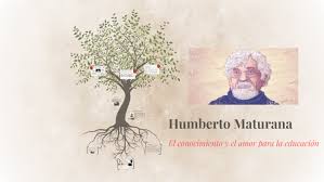 A propósito de humberto maturana y su bello mensaje sobre el amor y la educación. Humberto Maturana By Andres Seirios