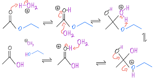 Hydrolysis Organic Chemistry Video Clutch Prep