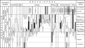 preliminary investigation on early to middle ordovician