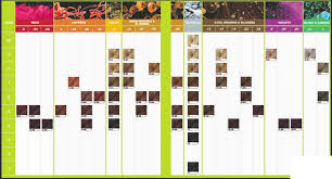 Inoa Innovation In Hair Colour Hair Color Chart Hair Color Dark Brown Hair Color