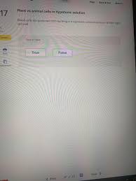Plant cell bursting in a hypotonic solution. Help Save Exit Submit Plant Vs Animal Cells In Chegg Com