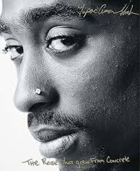 The Rose That Grew From Concrete: 9780671028459: Shakur, Tupac: 圖書
