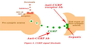 Image result for Gepant