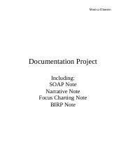 Documentation Project Cover Docx Monica Dinnsen