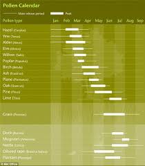 graphic identifies source of your allergy to help you manage