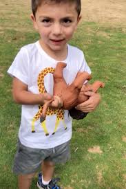 Maybe you would like to learn more about one of these? Shocked Mum Slams Inappropriate Willy On Her Four Year Old Son S Toy Lion As She Calls For Them To Be Banned