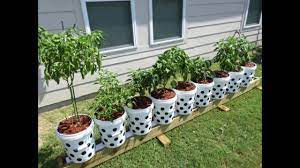 The Evolution Of The Rain Gutter Grow System Huge Improvements Youtube