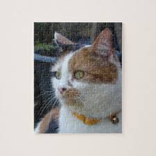 Calico Cat Close Up In The Garden Jigsaw Puzzle Zazzle Com Cat Jigsaw Puzzle Calico Cat Jigsaw Puzzles