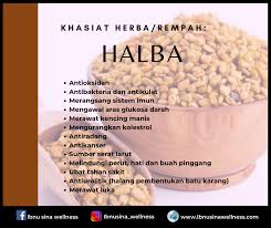 Rasulullah saw menganjurkan kita untuk menggunakan habbatussauda, sesungguhnya habbatussauda dapat ginkgo untuk optimalkan kerja otak. Info Kebaikan Dan Khasiat Halba Ibnu Sina Wellness Facebook
