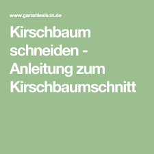 Schneiden sie größere äste bei kirschbäumen möglichst im sommer nach der ernte. Kirschbaum Schneiden Anleitung Zum Kirschbaumschnitt Kirschbaum Schneiden Kirschen Kirschbaum