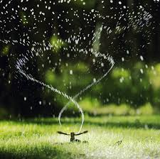 Using the weather evapotranspiration data in the online tool, you would need to run your sprinklers for a total of 41 minutes each week. The Best Time To Water Your Grass How Long To Water Grass