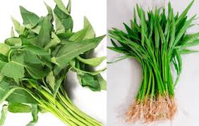 Hasil gambar untuk gizi yang terkandung dalam sayur kangkung