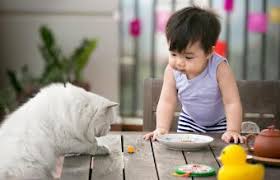 Finding out they're expecting a boy is an exciting discovery for any couple. Striking Korean Boy Names And Meanings Lovetoknow