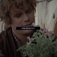 The Fellowship Mountain Scene