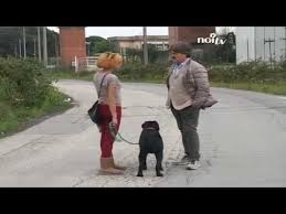 Stiamo parlando di 3.000 discoteche, di 100mila posti lavoro e dal mio punto di vista dal 1 luglio devono riaprire. Il Sindaco Entra Al Rave Party Youtube