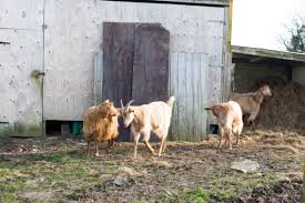 35 most beautiful villages in england 1. The Cornish Countryside England Trip Part 1 Finding Silver Pennies