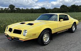 Image result for Giallo 1976 Fleet