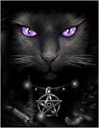 Image result for FOR THE LOVE OF THE DARK SIDE .â­Hecates Witch's & Pagansâ­Tests Over Times: Paths Crossed:Trades http://Made.School of Hard Knocks: Cars To Hell And Back.