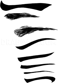 The 'trick' to drawing eyebrows (or any challenging texture, really) is to stop thinking of them as eyebrows, or even hair. How To Draw Eyebrows Step By Step Drawing Guide By Dawn Dragoart Com