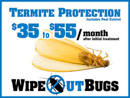 Do you need a pest or termite control company you can trust in the new orleans metro area? Blue Star Pest Control Pest Control And Termite Treatment Protection