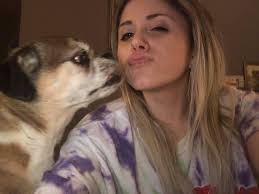 Diesel the 16-year-old bugg rescue dog smiles