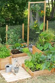 Ingin punya kebun sendiri di rumah? 17 Ide Kreatif Bikin Kebun Sayur Di Rumah Sendiri Desain Taman Kecil Kebun Sayur Taman Halaman Belakang