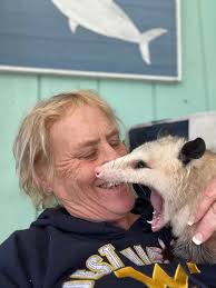 YEAH…AND I'M MICKEY MOUSE.** き券め POINT BreakingPoint 360 350  @breakingpoint360 PRESIDENT TRUMP SAYS PAMBONDI WILL GO DOWN AS GREATEST  ATTORNEY GENERAL!