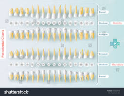 Form Table Dental Periodontal Charting Vector Stock Vector