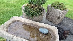 Blumentopfe Aus Zement Selber Herstellen Topfblumen Blumen Im Blumentopf Und Vogelbad