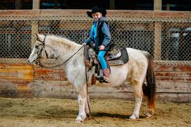 Buckskin paint horse for sale. For Sale Macaroni Buckskin Pinto Kids Pony Enchanted Hollow Stables