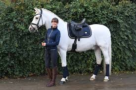 It is one of 16 organisations that form the british equestrian federation. Dressage Saddle Pad Royal Classic Cob Equestrian Stockholm