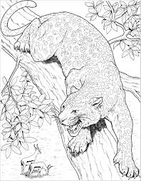 Snow leopard cubs coloring pages coloring pages. Leopard Coloring Pages For Adults Coloringbay