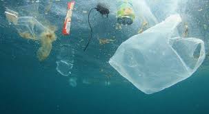 Europa avanza en la protección contra la basura marina - ecointeligencia -  cambia a un estilo de vida sostenible!