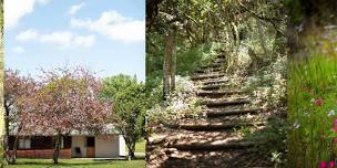 Forest Retreat