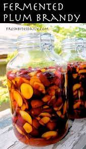This Fermented Plum Brandy Will Change The Way You Think About Your Fruit Trees Fermentation Recipes Moonshine Recipes Liquor Recipes