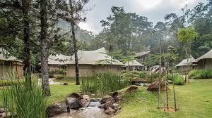 Tents are the designated accommodation option here. Unleashing Your Inner Wild Through Glamping Malaysia World Heritage Travel Site