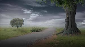 You can download them in psd, ai, eps or cdr format. Nature Hd Background Free Stock Photo Free Download