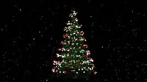 Christmas scene with tree gifts. Christmas Tree At Night With Stock Footage Video 100 Royalty Free 483211 Shutterstock