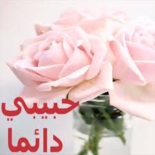 أجمل وأحلى صباح الخير باقات ورد من قسم صور صباح الورد good morning rose flower images مجموعة رائعة من خلفيات وحالات ورمزيات ورد وزهور حمراء أحلى وأجمل تشكيلة ورد صباح الخير معبرة رمزيات للواتس اب. ØµØ¨Ø§Ø­ Ø§Ù„ÙˆØ±Ø¯ Ù…Ù† Ø£Ø¬Ù…Ù„ ØµÙˆØ± ØµØ¨Ø§Ø­ Ø§Ù„Ø®ÙŠØ± ØµÙˆØ±ØµØ¨Ø§Ø­ Ø§Ù„Ø®ÙŠØ± Ø¬Ø¯ÙŠØ¯Ù‡ Ø¨Ø·Ø§Ù‚Ø§Øª ØµØ¨Ø§Ø­ Ø§Ù„Ø®ÙŠØ± Ù…Ø¹ Ø§Ù„Ø¯Ø¹Ø§Ø¡ ØµÙˆØ± ÙˆØ±ÙˆØ¯ Ø¬Ù…ÙŠÙ„Ø©