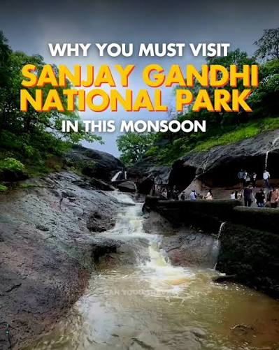 Sanjay Gandhi National Park in Monsoon 🌧 Mumbai monsoon isn't complete without a nature escape 🌧️💚 Sanjay Gandhi National Park and the ancient Kanheri Caves come alive during this season – misty