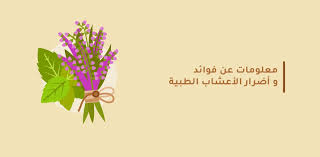 معلومات عن فوائد و أضرار الأعشاب الطبية مدونة شفاء الطبية