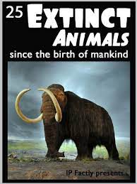 In the last ten thousand years, humanity's impact on the environment has caused the extinction of many beautiful animals. 25 Extinct Animals Since The Birth Of Mankind Animal Facts Photos And Video Links 25 Amazing Animals Series Book 8 Kindle Edition By Ip Factly Wildlife Ic Children Kindle Ebooks Amazon Com