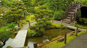 Pin On Japanese Tea Gardens