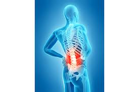 The quadriceps femoris muscle group straightens the leg at the knee. Low Back Muscle Strain And Sports Massage Marco Pasolini Health Clinic