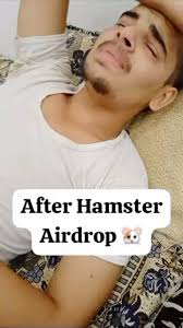 Hamster kombat users #blum #hamsterkombat #crypto #notcoin #binance #ceo  #airdrop #tapswap #fyp #foryou #viral #millionaire #profit
